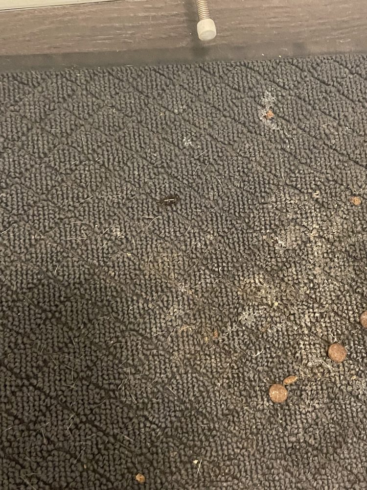 BELL CAPITOL HILL APARTMENTS Updated September 2024 50 Photos & 12 Reviews 1717 East