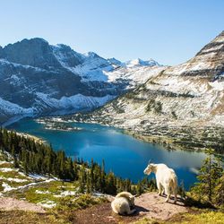 45 minutes from Glacier National Park