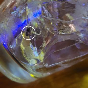 Tap Haus - Cockroach in my drink served from the bar. Bartenders did nothing when I showed them my cup. - Pool Halls Near Me - Berkeley, California