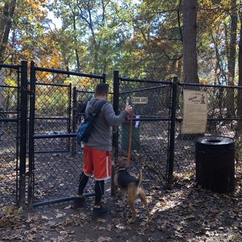 Timber Creek Park - Entrance - Dog Parks Near Me - Gloucester Township, New Jersey Timber Creek Park - Entrance - Dog Parks Near Me - Gloucester Township, New Jersey