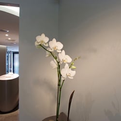 Spa Skin&Sens - Spa Skin&amp Sens Lyon
