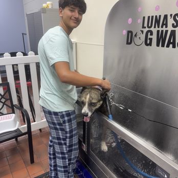 Luna's Dog Wash - Pet Groomers Near Me - Glendora, California Luna's Dog Wash - Pet Groomers Near Me - Glendora, California