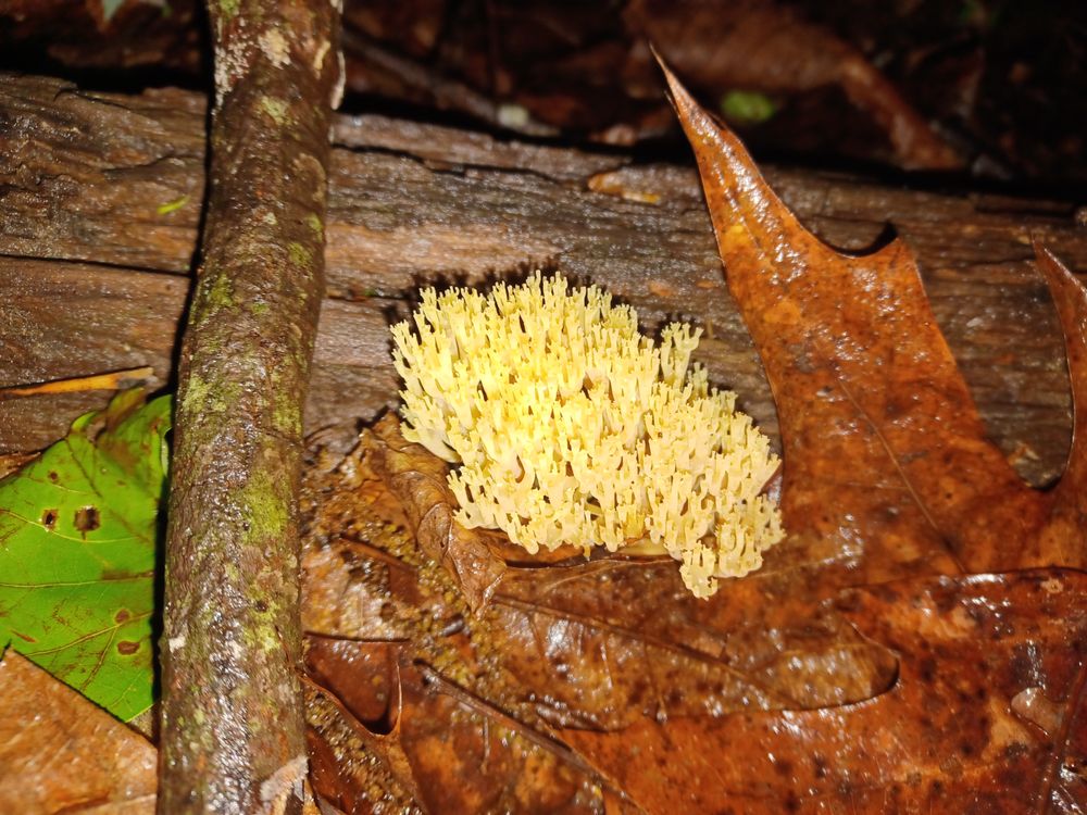 Slide of Aleph Construction