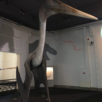 Field Museum - Museums Near Me - Chicago, Illinois Field Museum - Museums Near Me - Chicago, Illinois