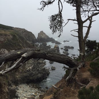 Stillwater Cove Regional Park - Campgrounds Near Me - Jenner, California Stillwater Cove Regional Park - Campgrounds Near Me - Jenner, California