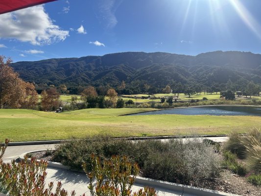 Zaidee's Bar and Grill by null