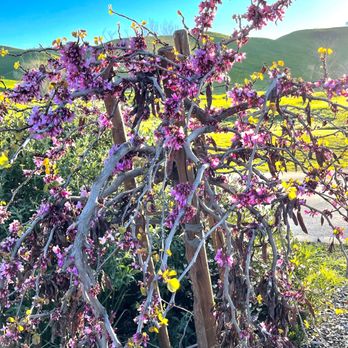 Contra Loma Regional Park - Parks Near Me - Antioch, California Contra Loma Regional Park - Parks Near Me - Antioch, California