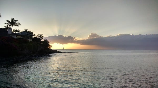 Honokeana Cove by null