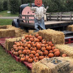 Plenty of fall decorations to enjoy and buy...