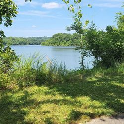 Simpson Park