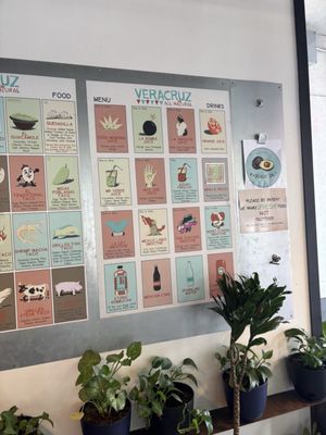 Veracruz All Natural by null