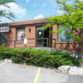 Kafai Veterinary Hospital - Veterinarians Near Me - Thornhill, Ontario Kafai Veterinary Hospital - Veterinarians Near Me - Thornhill, Ontario