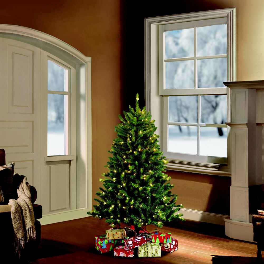 PULEO INTERNATIONAL Updated July 2024 29 Photos 3614 Kennedy Rd