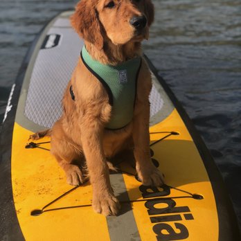 Wakepilot - Stand Up paddleboard rentals Osoyoos - Jet Skis Near Me - Osoyoos, British Columbia