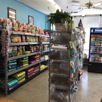 All 4 Dirty Paws - Pet needs - Pet Groomers Near Me - Chicago, Illinois