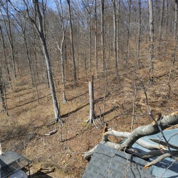 Indiana Treeworks - Tree Services Near Me Indiana Treeworks - Tree Services Near Me