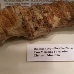 Box Elder Museum of Natural History