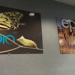 Epiq Systems