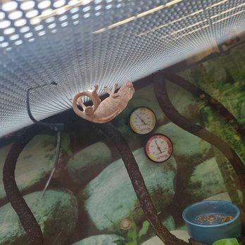 Petco - Pet Stores Near Me - Altamonte Springs, Florida