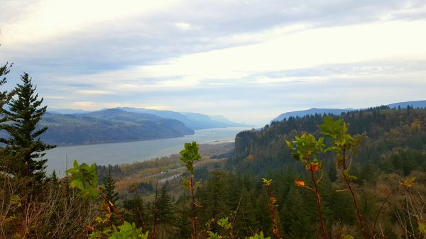 Portland Women's Forum State Scenic Viewpoint by null