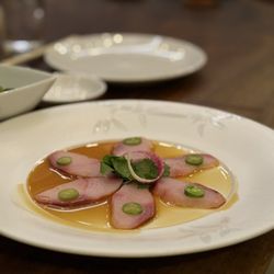 Matsuhisa - Hamachi (Yellowtail)