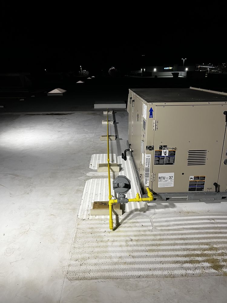 Slide of Arkansas Rooter