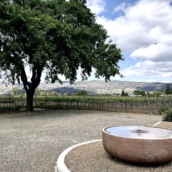 Squire Livery - The view was spectacular - Tours Near Me - Napa, California Squire Livery - The view was spectacular - Tours Near Me - Napa, California
