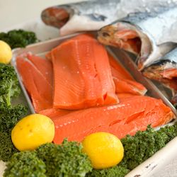 Pelagic Fish Market