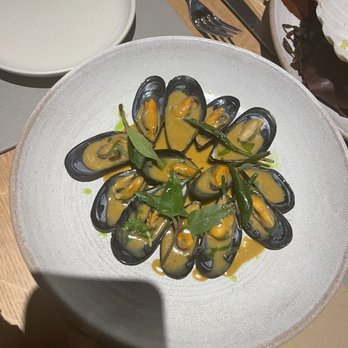 Kora - Muscles were Amazing! - Gastropubs Near Me - Edinburgh, EDH Kora - Muscles were Amazing! - Gastropubs Near Me - Edinburgh, EDH