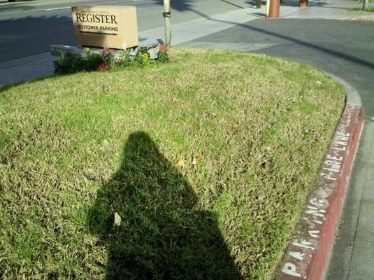 Photo of The Orange County Register - Irvine, CA, US.