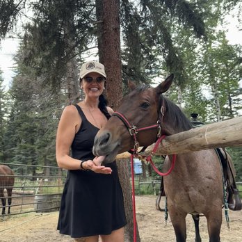Bear Mountain Stables - Horseback Riding Near Me - Conifer, Colorado