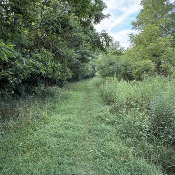 Big Walnut Nature Preserve - Trail is mowed - Hiking Near Me