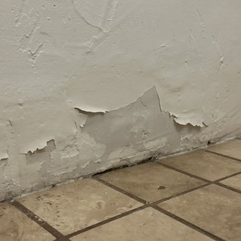Hotel Playa Los Arcos - Wall in the bathroom, right in front of the toilet. - Hotels Near Me - Puerto Vallarta, JAL