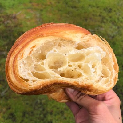 Frogs Organic Bakery by null