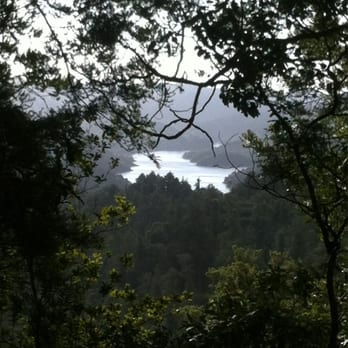 Hunua Falls - At one of the look outs along the trail. - Local Flavor Near Me - Hunua, AUK