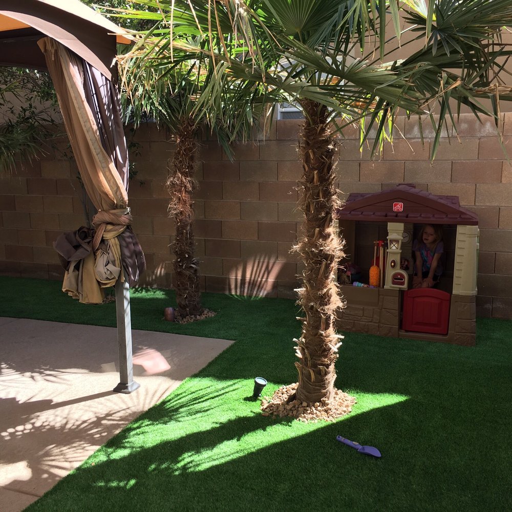 Desert Greenscapes - New lawn for the kids - Landscaping Near Me - Las Vegas, Nevada