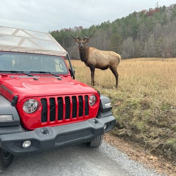 Scenic Tours & Adventures - ATV Rentals/Tours Near Me - Maggie Valley, North Carolina Scenic Tours & Adventures - ATV Rentals/Tours Near Me - Maggie Valley, North Carolina