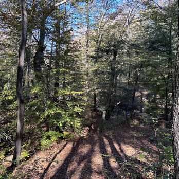 Medoc Mountain State Park - Woodsy nature - Parks Near Me - Hollister, North Carolina