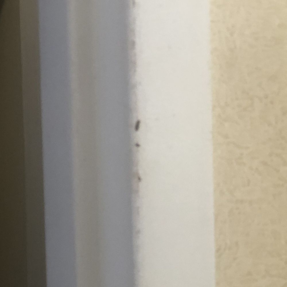 Oceanfront Inn - Rusting chipped paint on doorframe. - Hotels Near Me - Virginia Beach, Virginia