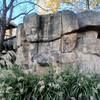 Memphis Zoo - Zoos Near Me - Memphis, Tennessee Memphis Zoo - Zoos Near Me - Memphis, Tennessee