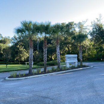 Red Line Tree Company - Tree Services Near Me Red Line Tree Company - Tree Services Near Me