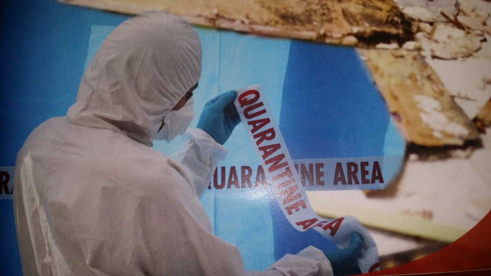 BD Mold - mold inspector in Syracuse, NY