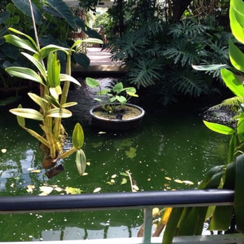 Birmingham Botanical Gardens - Botanical Gardens Near Me - Birmingham, XWM