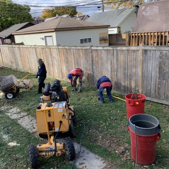 Meca Tree Service - Tree Services Near Me Meca Tree Service - Tree Services Near Me