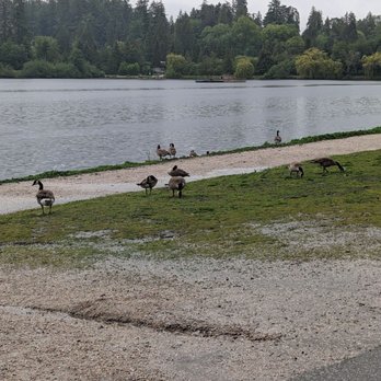 Spokes Bicycle Rentals - Bike Rentals Near Me - Vancouver, British Columbia Spokes Bicycle Rentals - Bike Rentals Near Me - Vancouver, British Columbia