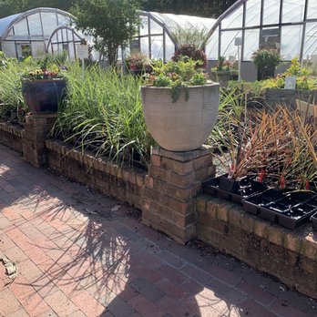 Big Bloomers Flower Farm - Nurseries & Gardening Near Me - Sanford, North Carolina Big Bloomers Flower Farm - Nurseries & Gardening Near Me - Sanford, North Carolina