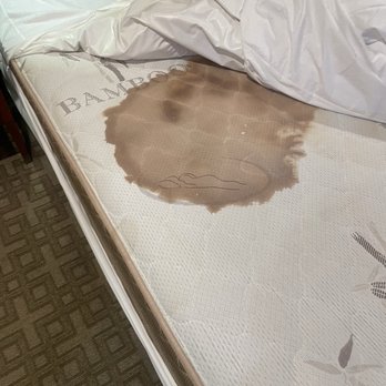 Paradise Lodge - Blood soaked mattress - Hotels Near Me - Canoga Park, California