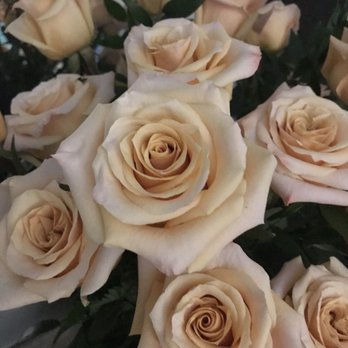 Lou's Florist - Fourth day after delivery. Opening so beautiful and fragrant! - Florists Near Me - South Pasadena, Florida Lou's Florist - Fourth day after delivery. Opening so beautiful and fragrant! - Florists Near Me - South Pasadena, Florida