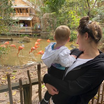 Palm Beach Zoo - Zoos Near Me - West Palm Beach, Florida