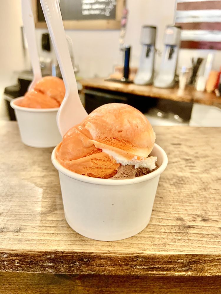 THE FUNKY TWIG Updated September 2024 85 Photos & 41 Reviews